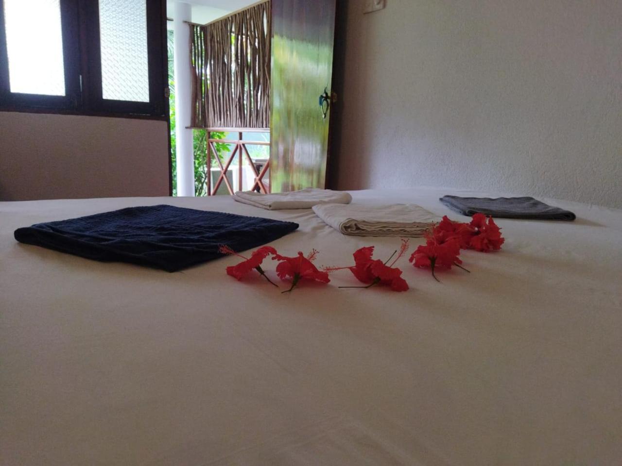 Lion Paradise Surf Beach Matara Rom bilde