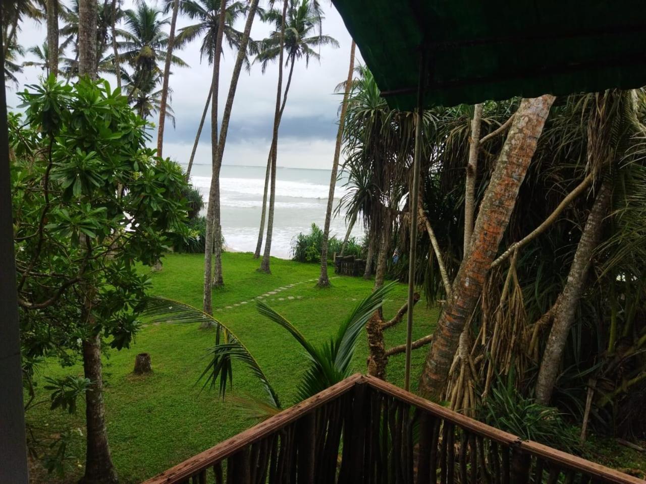Lion Paradise Surf Beach Matara Eksteriør bilde