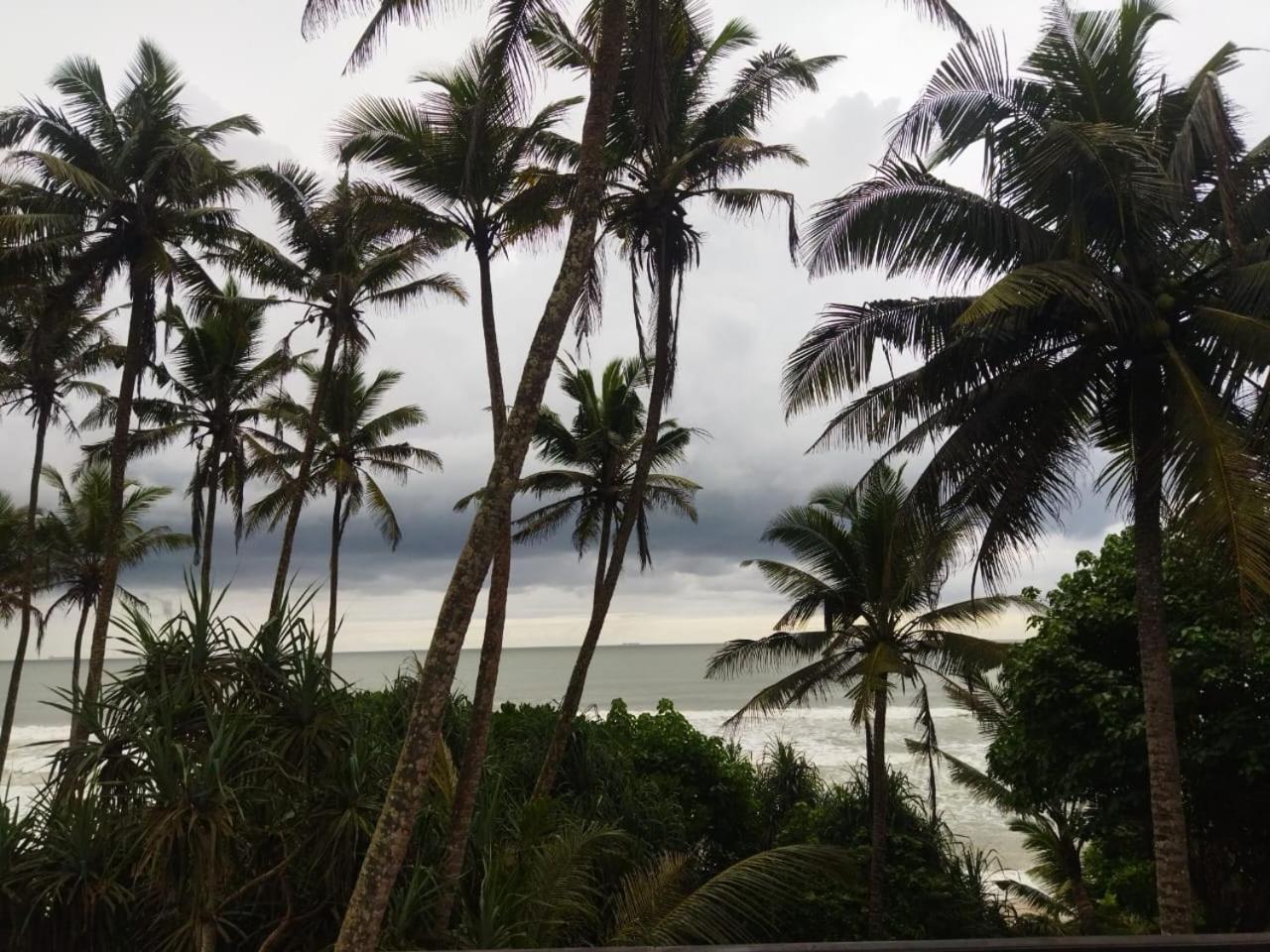 Lion Paradise Surf Beach Matara Eksteriør bilde
