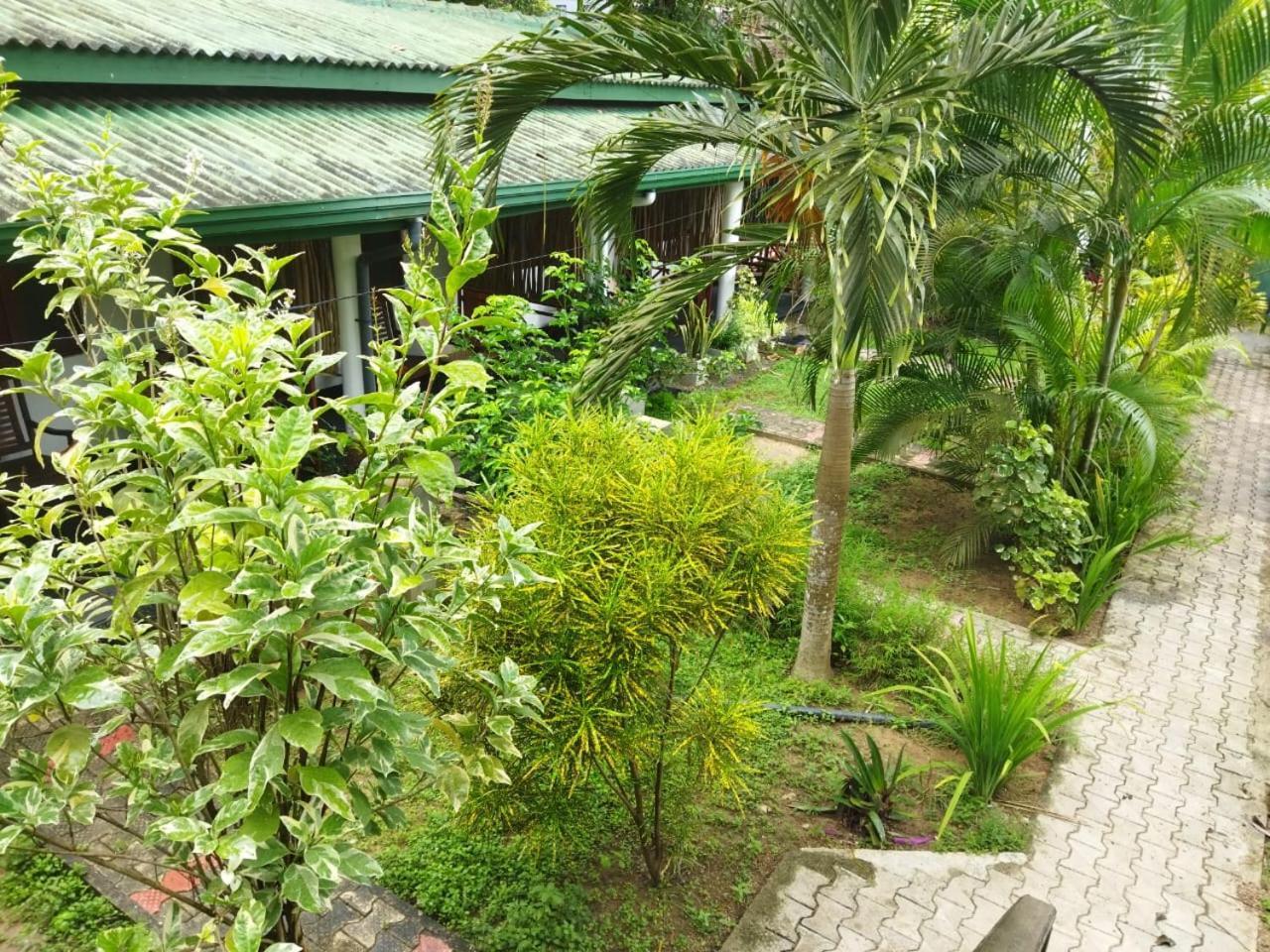 Lion Paradise Surf Beach Matara Eksteriør bilde